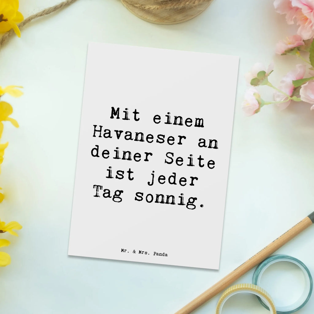 Postkarte Spruch Havaneser Sonnenschein Grußkarte, Dankeskarte, Ansichtskarten, Ansichtskarte, Einladung, Postkarte, Geschenkkarte, Einladung Geburtstag, Karte, Einladungskarten Geburtstag, Geburtstagskarte, Einladungskarte, Hund, Hunderasse, Rassehund, Hundebesitzer, Geschenk, Tierfreund, Schenken, Welpe
