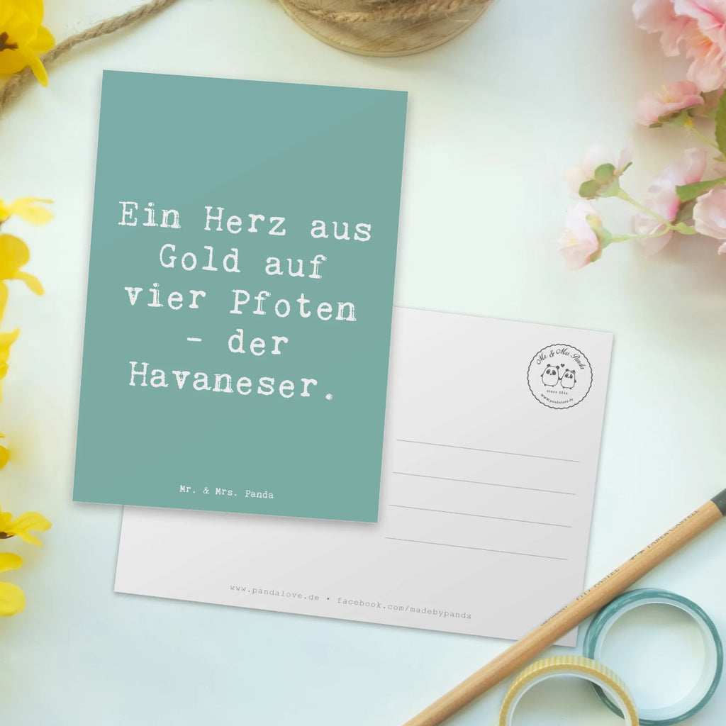 Postkarte Spruch Goldherz Havaneser Karte, Einladungskarten Geburtstag, Ansichtskarten, Geschenkkarte, Geburtstagskarte, Einladung, Ansichtskarte, Einladungskarte, Dankeskarte, Einladung Geburtstag, Grußkarte, Postkarte, Hund, Hunderasse, Rassehund, Hundebesitzer, Geschenk, Tierfreund, Schenken, Welpe