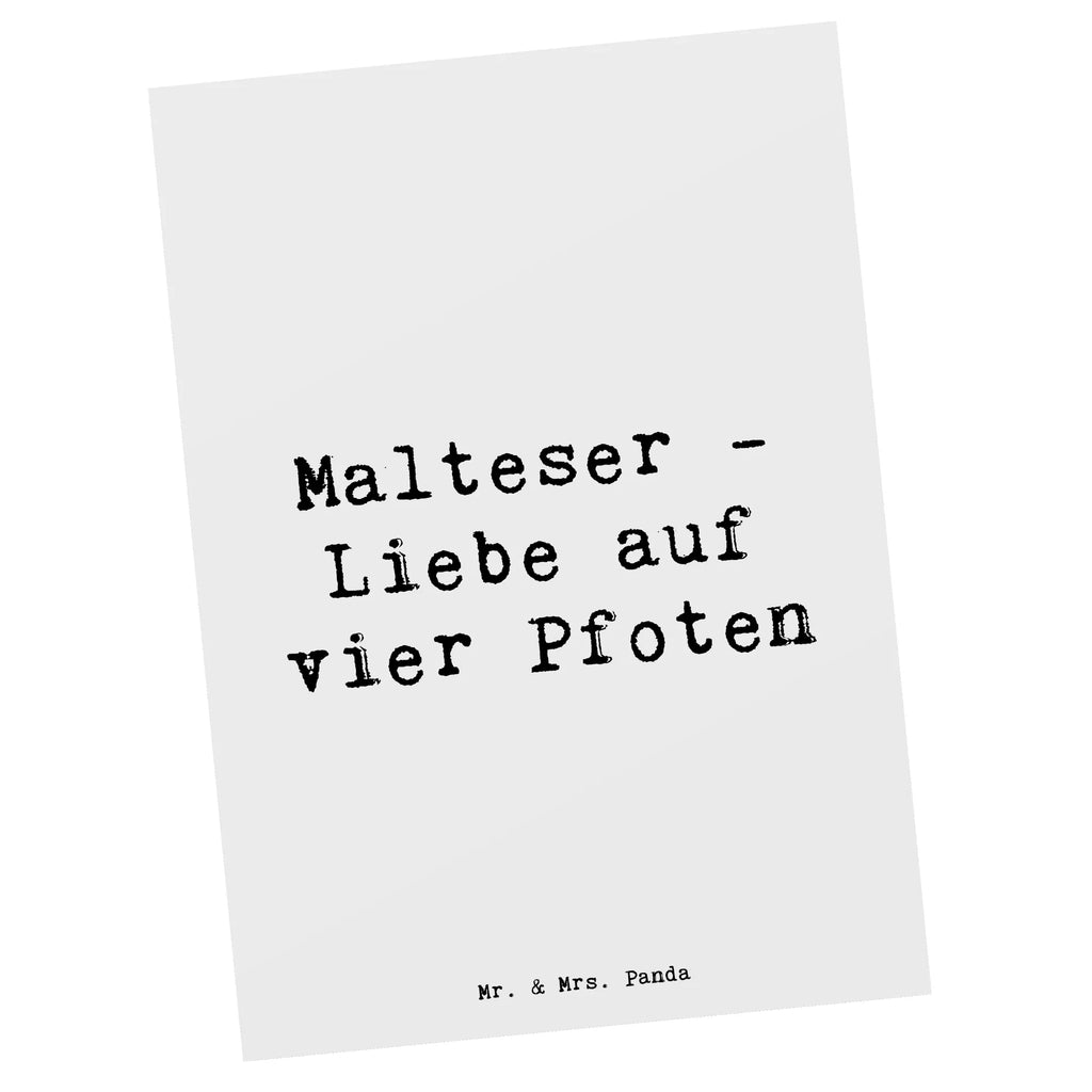 Postcard Saying Malteser - Liebe auf vier Pfoten Ansichtskarte, Ansichtskarten, Grußkarte, Geburtstagskarte, Karte, Einladungskarte, Einladungskarten Geburtstag, Dankeskarte, Einladung, Postkarte, Einladung Geburtstag, Geschenkkarte, Hund, Hunderasse, Rassehund, Hundebesitzer, Geschenk, Tierfreund, Schenken, Welpe