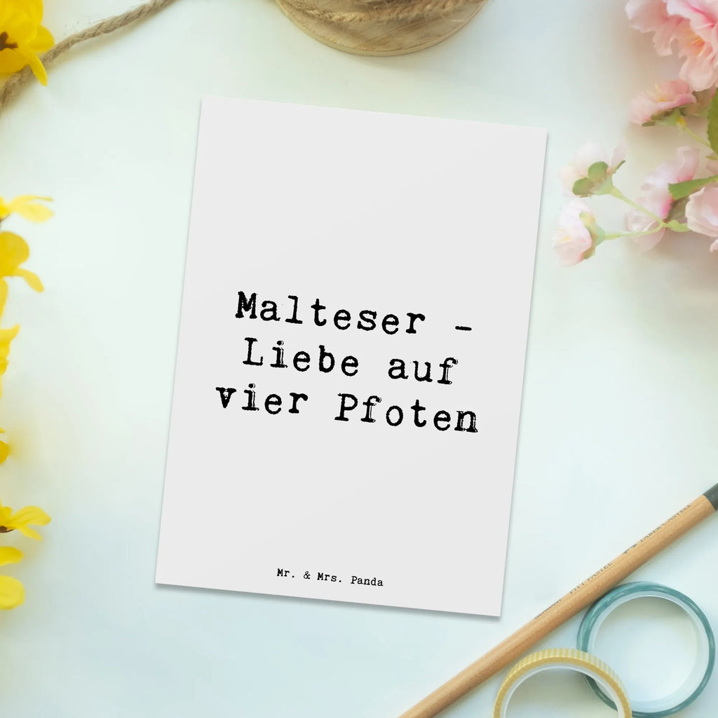Postcard Saying Malteser - Liebe auf vier Pfoten Ansichtskarte, Ansichtskarten, Grußkarte, Geburtstagskarte, Karte, Einladungskarte, Einladungskarten Geburtstag, Dankeskarte, Einladung, Postkarte, Einladung Geburtstag, Geschenkkarte, Hund, Hunderasse, Rassehund, Hundebesitzer, Geschenk, Tierfreund, Schenken, Welpe