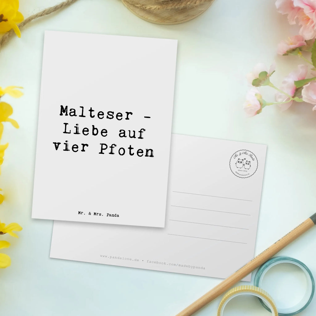 Postcard Saying Malteser - Liebe auf vier Pfoten Ansichtskarte, Ansichtskarten, Grußkarte, Geburtstagskarte, Karte, Einladungskarte, Einladungskarten Geburtstag, Dankeskarte, Einladung, Postkarte, Einladung Geburtstag, Geschenkkarte, Hund, Hunderasse, Rassehund, Hundebesitzer, Geschenk, Tierfreund, Schenken, Welpe