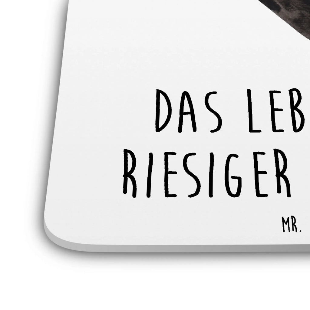 Coaster Set skunk handstand Universaluntersetzer, Umweltfreundlicher Untersetzer, Hitzebeständiger Untersetzer, Underlay Für Getränke, Untersetzer Motiv, Untersetzer Eckig, Untersetzer für Gläser, Getränke­sauguntersetzer, Kunststoffuntersetzer, Untersetzer Rund, Becheruntersetzer, Rutschfester Untersetzer, Design-Untersetzer, Untersetzer für Becher, Nachhaltiger Untersetzer, Glasuntersetzer, Untersetzer für Tassen, Tischschutzuntersetzer, Tassenuntersetzer, Tischuntersetzer, Coaster, Untersetzer, Getränkeuntersetzer, Getränke-Coaster, Dekoruntersetzer, Untersetzer Für Getränke, Untersetzer Set, Handgemachter Untersetzer, Stinktier, Skunk, Stinki, Wildtier, Raubtier, Kind, Stinker, verpielt, Spielplatz