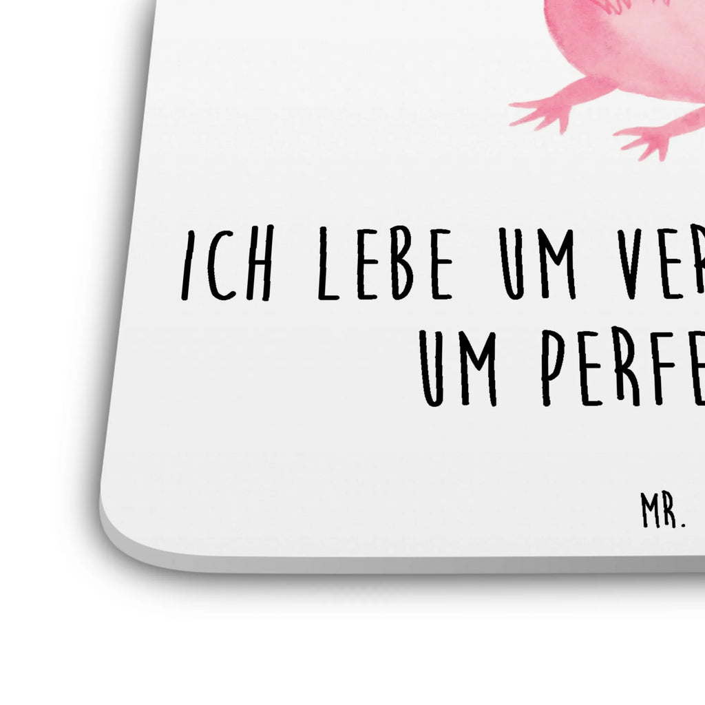 Untersetzer Set Axolotl null Umweltfreundlicher Untersetzer, Untersetzer für Becher, Untersetzer für Gläser, Becheruntersetzer, Dekoruntersetzer, Tassenuntersetzer, Tischuntersetzer, Glasuntersetzer, Coaster, Design-Untersetzer, Underlay Für Getränke, Universaluntersetzer, Nachhaltiger Untersetzer, Getränke­sauguntersetzer, Untersetzer für Tassen, Kunststoffuntersetzer, Tischschutzuntersetzer, Untersetzer Rund, Rutschfester Untersetzer, Untersetzer Eckig, Untersetzer Für Getränke, Getränkeuntersetzer, Untersetzer Set, Untersetzer, Handgemachter Untersetzer, Untersetzer Motiv, Hitzebeständiger Untersetzer, Getränke-Coaster, Axolotl, Molch, Freundin, Axolot, fröhlich, Liebe, Weisheit, Lebensstil, Lebensweisheit, zufrieden, vergnügt