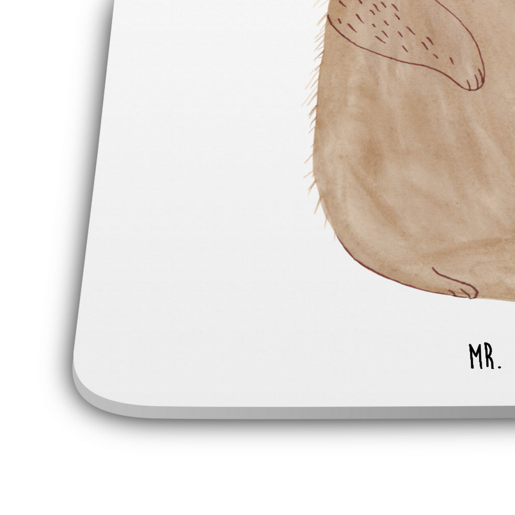 Coaster Set Groundhog Getränkeuntersetzer, Untersetzer für Becher, Universaluntersetzer, Umweltfreundlicher Untersetzer, Untersetzer für Gläser, Becheruntersetzer, Dekoruntersetzer, Untersetzer für Tassen, Tassenuntersetzer, Nachhaltiger Untersetzer, Untersetzer Motiv, Kunststoffuntersetzer, Glasuntersetzer, Handgemachter Untersetzer, Untersetzer Set, Rutschfester Untersetzer, Getränke­sauguntersetzer, Tischuntersetzer, Design-Untersetzer, Untersetzer Für Getränke, Coaster, Tischschutzuntersetzer, Underlay Für Getränke, Hitzebeständiger Untersetzer, Untersetzer Rund, Untersetzer, Untersetzer Eckig, Getränke-Coaster, Tiermotive, Gute Laune, lustige Sprüche, Tiere, Murmeltier, Fröhlichkeit, Freundlichkeit, Respekt, Anstand, Knigge