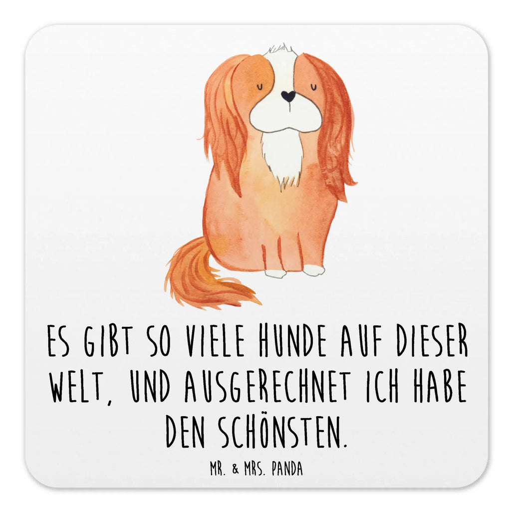 Coaster Set Dog Cavalier King Charles Spaniel Tischschutzuntersetzer, Getränkeuntersetzer, Untersetzer Rund, Untersetzer Für Getränke, Untersetzer Motiv, Untersetzer für Becher, Untersetzer Set, Hitzebeständiger Untersetzer, Becheruntersetzer, Underlay Für Getränke, Coaster, Kunststoffuntersetzer, Handgemachter Untersetzer, Untersetzer Eckig, Untersetzer, Umweltfreundlicher Untersetzer, Nachhaltiger Untersetzer, Getränke­sauguntersetzer, Glasuntersetzer, Getränke-Coaster, Tassenuntersetzer, Tischuntersetzer, Universaluntersetzer, Untersetzer für Tassen, Design-Untersetzer, Untersetzer für Gläser, Rutschfester Untersetzer, Dekoruntersetzer, Hund, Hundemotiv, Haustier, Hunderasse, Tierliebhaber, Hundebesitzer, Sprüche, Cavalier King Charles Spaniel, Spaniel, schönster Hund, Cockerspaniel, Spruch