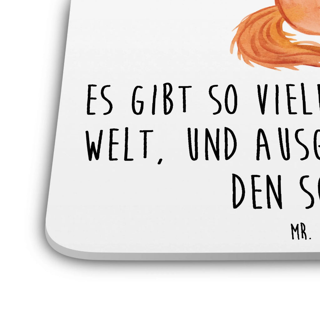 Coaster Set Dog Cavalier King Charles Spaniel Tischschutzuntersetzer, Getränkeuntersetzer, Untersetzer Rund, Untersetzer Für Getränke, Untersetzer Motiv, Untersetzer für Becher, Untersetzer Set, Hitzebeständiger Untersetzer, Becheruntersetzer, Underlay Für Getränke, Coaster, Kunststoffuntersetzer, Handgemachter Untersetzer, Untersetzer Eckig, Untersetzer, Umweltfreundlicher Untersetzer, Nachhaltiger Untersetzer, Getränke­sauguntersetzer, Glasuntersetzer, Getränke-Coaster, Tassenuntersetzer, Tischuntersetzer, Universaluntersetzer, Untersetzer für Tassen, Design-Untersetzer, Untersetzer für Gläser, Rutschfester Untersetzer, Dekoruntersetzer, Hund, Hundemotiv, Haustier, Hunderasse, Tierliebhaber, Hundebesitzer, Sprüche, Cavalier King Charles Spaniel, Spaniel, schönster Hund, Cockerspaniel, Spruch