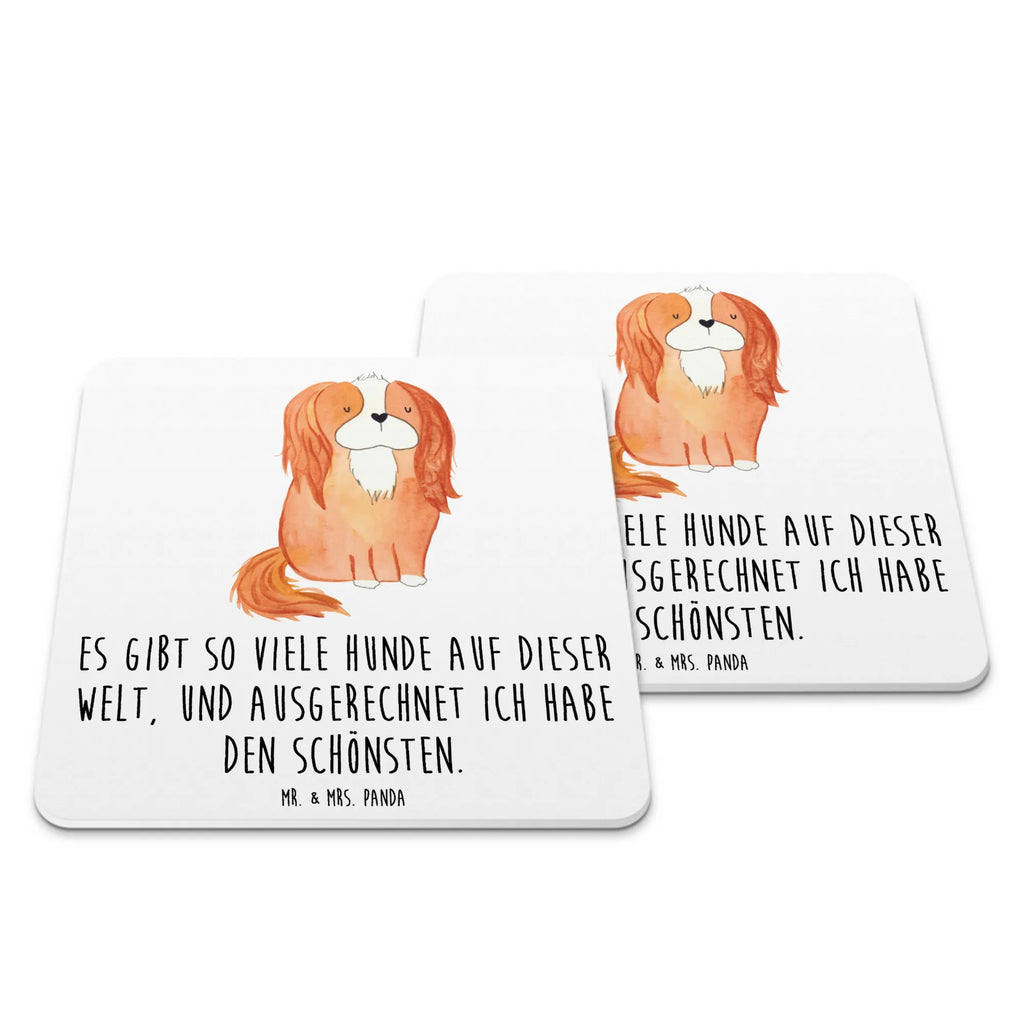 Coaster Set Dog Cavalier King Charles Spaniel Tischschutzuntersetzer, Getränkeuntersetzer, Untersetzer Rund, Untersetzer Für Getränke, Untersetzer Motiv, Untersetzer für Becher, Untersetzer Set, Hitzebeständiger Untersetzer, Becheruntersetzer, Underlay Für Getränke, Coaster, Kunststoffuntersetzer, Handgemachter Untersetzer, Untersetzer Eckig, Untersetzer, Umweltfreundlicher Untersetzer, Nachhaltiger Untersetzer, Getränke­sauguntersetzer, Glasuntersetzer, Getränke-Coaster, Tassenuntersetzer, Tischuntersetzer, Universaluntersetzer, Untersetzer für Tassen, Design-Untersetzer, Untersetzer für Gläser, Rutschfester Untersetzer, Dekoruntersetzer, Hund, Hundemotiv, Haustier, Hunderasse, Tierliebhaber, Hundebesitzer, Sprüche, Cavalier King Charles Spaniel, Spaniel, schönster Hund, Cockerspaniel, Spruch