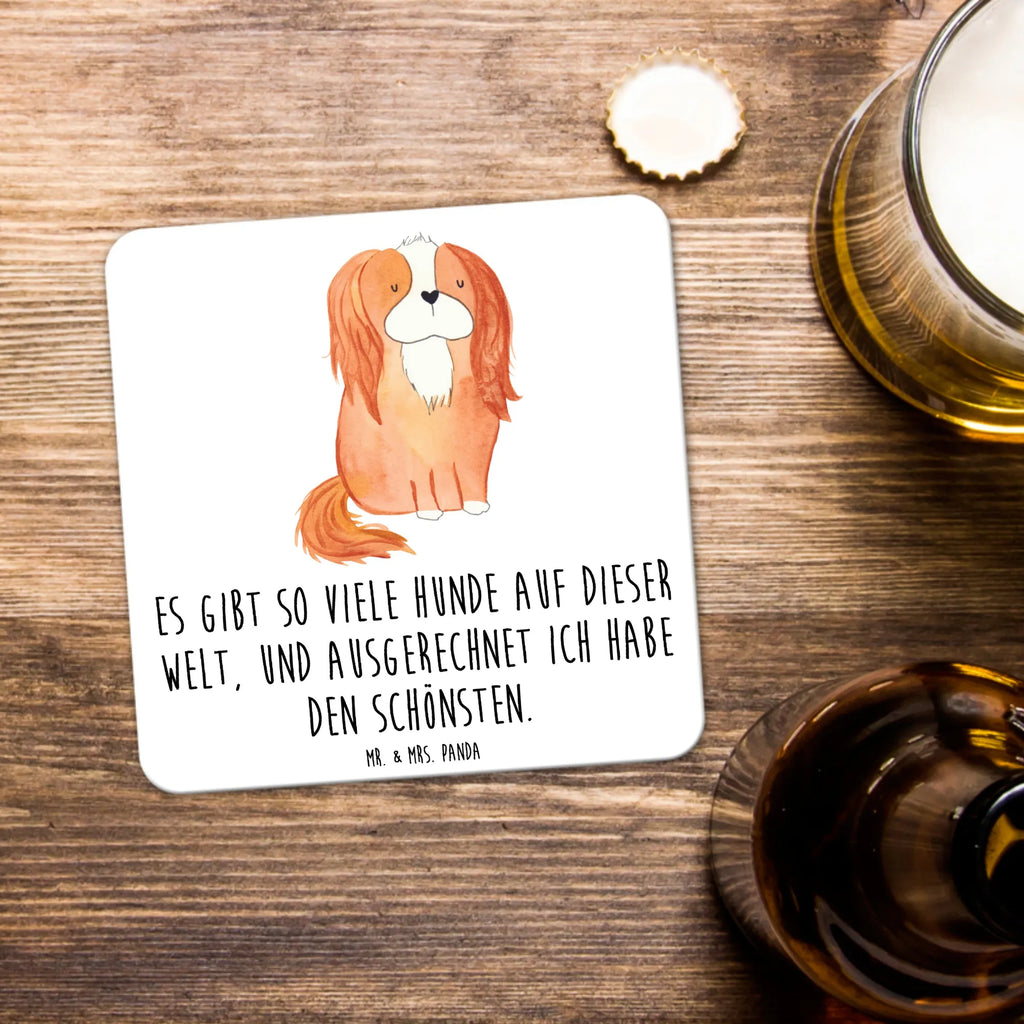 Coaster Set Dog Cavalier King Charles Spaniel Tischschutzuntersetzer, Getränkeuntersetzer, Untersetzer Rund, Untersetzer Für Getränke, Untersetzer Motiv, Untersetzer für Becher, Untersetzer Set, Hitzebeständiger Untersetzer, Becheruntersetzer, Underlay Für Getränke, Coaster, Kunststoffuntersetzer, Handgemachter Untersetzer, Untersetzer Eckig, Untersetzer, Umweltfreundlicher Untersetzer, Nachhaltiger Untersetzer, Getränke­sauguntersetzer, Glasuntersetzer, Getränke-Coaster, Tassenuntersetzer, Tischuntersetzer, Universaluntersetzer, Untersetzer für Tassen, Design-Untersetzer, Untersetzer für Gläser, Rutschfester Untersetzer, Dekoruntersetzer, Hund, Hundemotiv, Haustier, Hunderasse, Tierliebhaber, Hundebesitzer, Sprüche, Cavalier King Charles Spaniel, Spaniel, schönster Hund, Cockerspaniel, Spruch