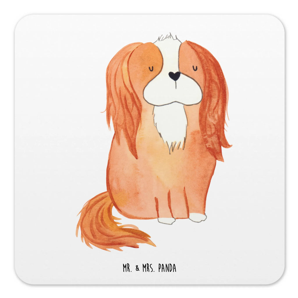 Coaster Set Dog Cavalier King Charles Spaniel Tischschutzuntersetzer, Getränkeuntersetzer, Untersetzer Rund, Untersetzer Für Getränke, Untersetzer Motiv, Untersetzer für Becher, Untersetzer Set, Hitzebeständiger Untersetzer, Becheruntersetzer, Underlay Für Getränke, Coaster, Kunststoffuntersetzer, Handgemachter Untersetzer, Untersetzer Eckig, Untersetzer, Umweltfreundlicher Untersetzer, Nachhaltiger Untersetzer, Getränke­sauguntersetzer, Glasuntersetzer, Getränke-Coaster, Tassenuntersetzer, Tischuntersetzer, Universaluntersetzer, Untersetzer für Tassen, Design-Untersetzer, Untersetzer für Gläser, Rutschfester Untersetzer, Dekoruntersetzer, Hund, Hundemotiv, Haustier, Hunderasse, Tierliebhaber, Hundebesitzer, Sprüche, Cavalier King Charles Spaniel, Spaniel, schönster Hund, Cockerspaniel, Spruch