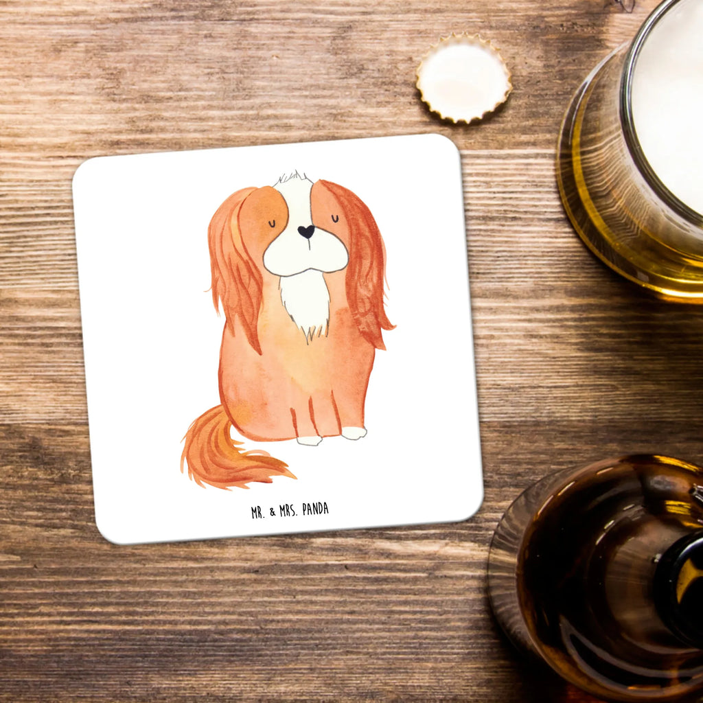 Coaster Set Dog Cavalier King Charles Spaniel Tischschutzuntersetzer, Getränkeuntersetzer, Untersetzer Rund, Untersetzer Für Getränke, Untersetzer Motiv, Untersetzer für Becher, Untersetzer Set, Hitzebeständiger Untersetzer, Becheruntersetzer, Underlay Für Getränke, Coaster, Kunststoffuntersetzer, Handgemachter Untersetzer, Untersetzer Eckig, Untersetzer, Umweltfreundlicher Untersetzer, Nachhaltiger Untersetzer, Getränke­sauguntersetzer, Glasuntersetzer, Getränke-Coaster, Tassenuntersetzer, Tischuntersetzer, Universaluntersetzer, Untersetzer für Tassen, Design-Untersetzer, Untersetzer für Gläser, Rutschfester Untersetzer, Dekoruntersetzer, Hund, Hundemotiv, Haustier, Hunderasse, Tierliebhaber, Hundebesitzer, Sprüche, Cavalier King Charles Spaniel, Spaniel, schönster Hund, Cockerspaniel, Spruch
