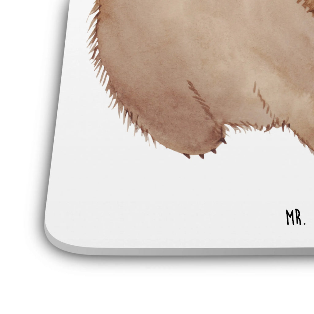 Coaster Set Wombat Getränke-Coaster, Underlay Für Getränke, Untersetzer, Untersetzer für Tassen, Kunststoffuntersetzer, Untersetzer Motiv, Umweltfreundlicher Untersetzer, Untersetzer Eckig, Hitzebeständiger Untersetzer, Rutschfester Untersetzer, Tassenuntersetzer, Tischuntersetzer, Getränke­sauguntersetzer, Untersetzer Für Getränke, Becheruntersetzer, Coaster, Untersetzer Set, Untersetzer für Gläser, Tischschutzuntersetzer, Dekoruntersetzer, Untersetzer für Becher, Getränkeuntersetzer, Design-Untersetzer, Nachhaltiger Untersetzer, Untersetzer Rund, Handgemachter Untersetzer, Universaluntersetzer, Glasuntersetzer, Tiermotive, Gute Laune, lustige Sprüche, Tiere, Das Leben ist schön, Spruch, Australien, Motivation, Wombat