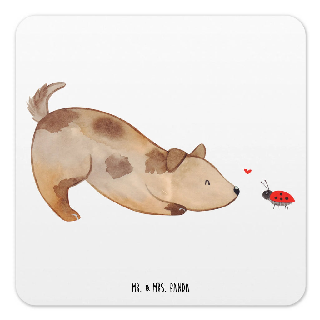 Untersetzer Set Hund Marienkäfer Nachhaltiger Untersetzer, Untersetzer Eckig, Glasuntersetzer, Rutschfester Untersetzer, Coaster, Untersetzer Rund, Getränke­sauguntersetzer, Untersetzer Set, Untersetzer Für Getränke, Untersetzer für Becher, Untersetzer, Untersetzer für Gläser, Kunststoffuntersetzer, Design-Untersetzer, Getränkeuntersetzer, Tassenuntersetzer, Underlay Für Getränke, Untersetzer für Tassen, Hitzebeständiger Untersetzer, Umweltfreundlicher Untersetzer, Dekoruntersetzer, Getränke-Coaster, Tischschutzuntersetzer, Untersetzer Motiv, Universaluntersetzer, Handgemachter Untersetzer, Becheruntersetzer, Tischuntersetzer, Hund, Hundemotiv, Haustier, Hunderasse, Tierliebhaber, Hundebesitzer, Sprüche, Mischlinghund, Mischling, Marienkäfer, Hundespruch, Hunde