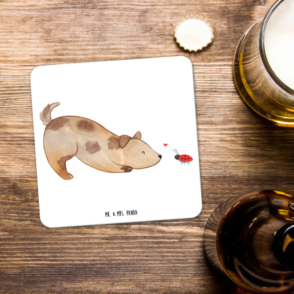 Untersetzer Set Hund Marienkäfer Nachhaltiger Untersetzer, Untersetzer Eckig, Glasuntersetzer, Rutschfester Untersetzer, Coaster, Untersetzer Rund, Getränke­sauguntersetzer, Untersetzer Set, Untersetzer Für Getränke, Untersetzer für Becher, Untersetzer, Untersetzer für Gläser, Kunststoffuntersetzer, Design-Untersetzer, Getränkeuntersetzer, Tassenuntersetzer, Underlay Für Getränke, Untersetzer für Tassen, Hitzebeständiger Untersetzer, Umweltfreundlicher Untersetzer, Dekoruntersetzer, Getränke-Coaster, Tischschutzuntersetzer, Untersetzer Motiv, Universaluntersetzer, Handgemachter Untersetzer, Becheruntersetzer, Tischuntersetzer, Hund, Hundemotiv, Haustier, Hunderasse, Tierliebhaber, Hundebesitzer, Sprüche, Mischlinghund, Mischling, Marienkäfer, Hundespruch, Hunde