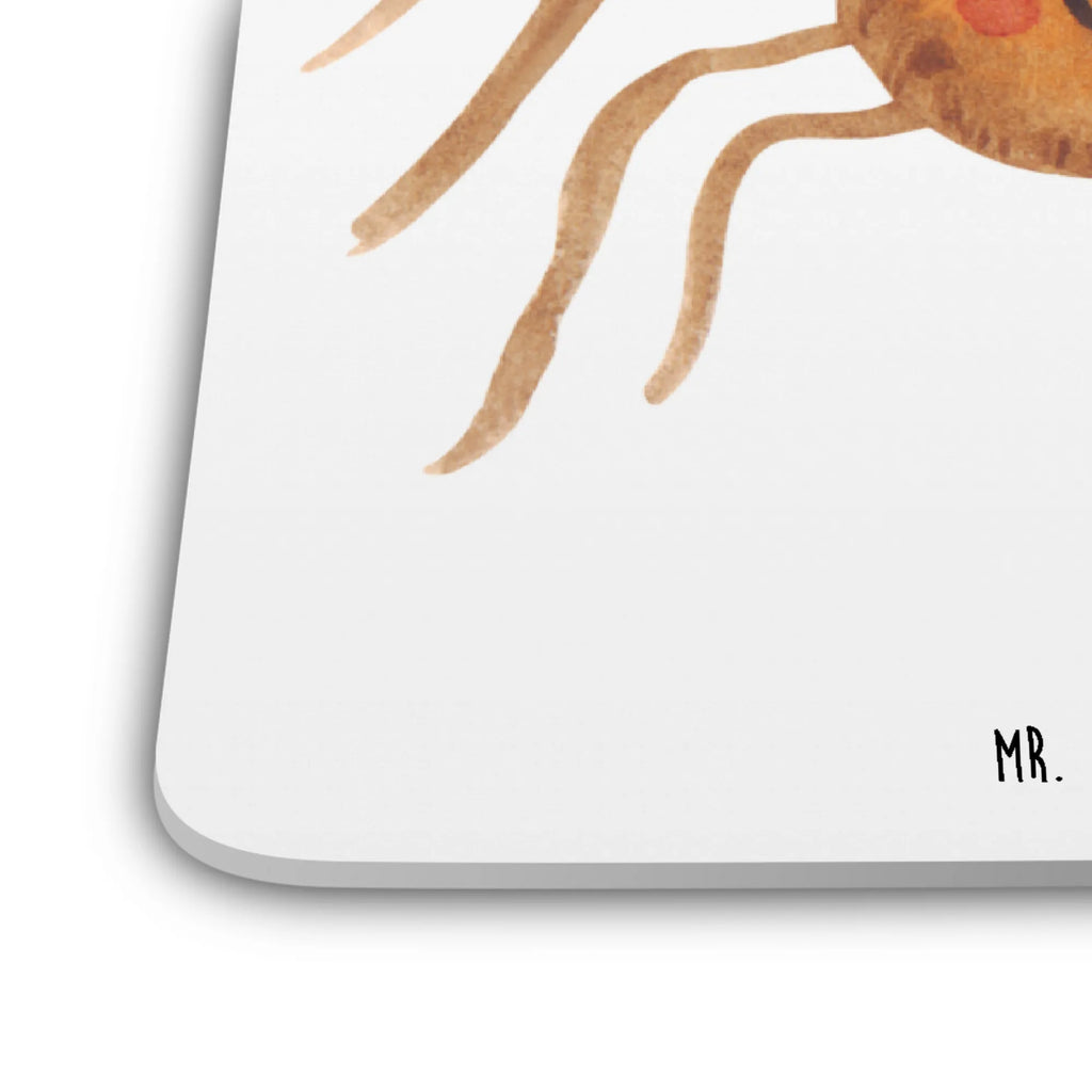 Coaster Set Spider Agathe Joy Getränkeuntersetzer, Untersetzer, Glasuntersetzer, Tassenuntersetzer, Coaster, Untersetzer Motiv, Untersetzer Rund, Untersetzer Set, Tischuntersetzer, Hitzebeständiger Untersetzer, Untersetzer für Gläser, Untersetzer Eckig, Handgemachter Untersetzer, Untersetzer für Tassen, Merchandise, Videos, Agathe, Spinne, Spinne Agathe, Beliebte Spinne, Trend, Viral, Viraler Hit