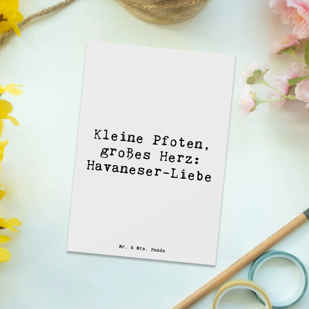 Postcard Saying Kleine Pfoten, großes Herz: Havaneser-Liebe Einladungskarten Geburtstag, Geburtstagskarte, Ansichtskarten, Dankeskarte, Karte, Postkarte, Grußkarte, Einladung, Ansichtskarte, Einladungskarte, Einladung Geburtstag, Geschenkkarte, Hund, Hunderasse, Rassehund, Hundebesitzer, Geschenk, Tierfreund, Schenken, Welpe