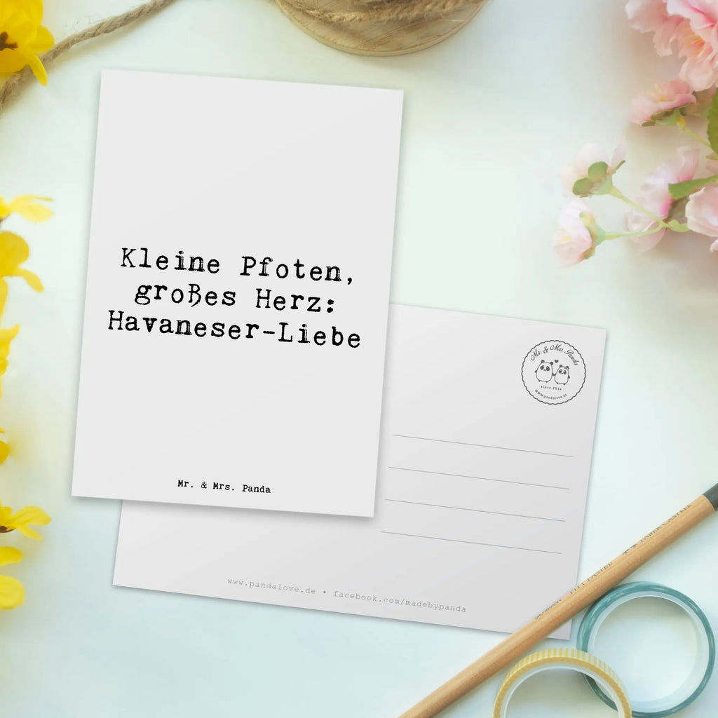Postcard Saying Kleine Pfoten, großes Herz: Havaneser-Liebe Einladungskarten Geburtstag, Geburtstagskarte, Ansichtskarten, Dankeskarte, Karte, Postkarte, Grußkarte, Einladung, Ansichtskarte, Einladungskarte, Einladung Geburtstag, Geschenkkarte, Hund, Hunderasse, Rassehund, Hundebesitzer, Geschenk, Tierfreund, Schenken, Welpe
