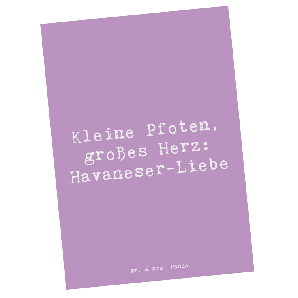 Postcard Saying Kleine Pfoten, großes Herz: Havaneser-Liebe Einladungskarten Geburtstag, Geburtstagskarte, Ansichtskarten, Dankeskarte, Karte, Postkarte, Grußkarte, Einladung, Ansichtskarte, Einladungskarte, Einladung Geburtstag, Geschenkkarte, Hund, Hunderasse, Rassehund, Hundebesitzer, Geschenk, Tierfreund, Schenken, Welpe