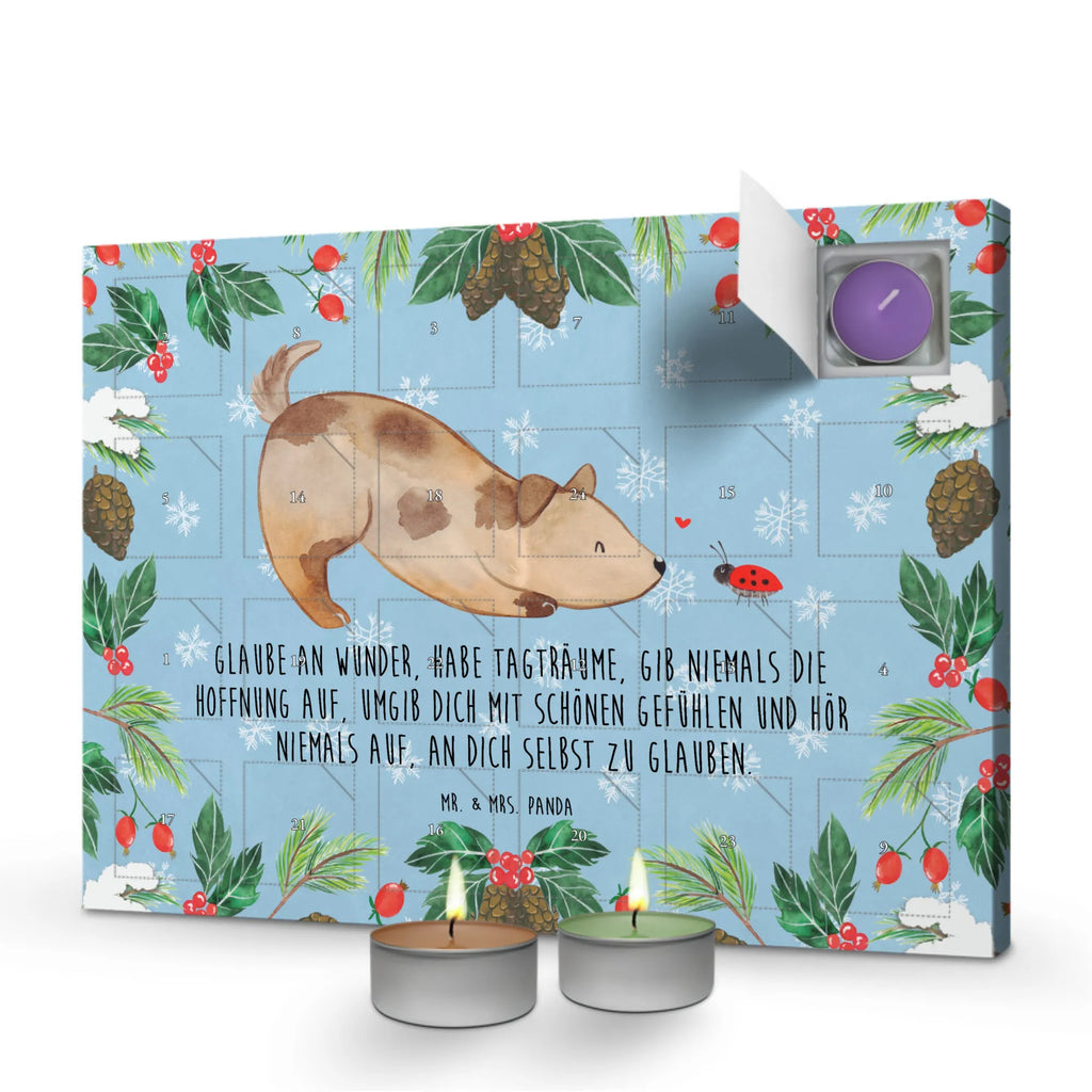 Scented candle advent calendar Dog ladybug dog breed, mutt, hound, woof, dog mama, love dogs, love for dogs, dog decorative items, bag with dog print, funny gifts for dog owners, what do you give a dog lover, Christmas gifts for dogs, gifts for dogs, dog sayings, Mongrel dog, Mongrel, Ladybird, Sayings, Dog slogan, Dogs