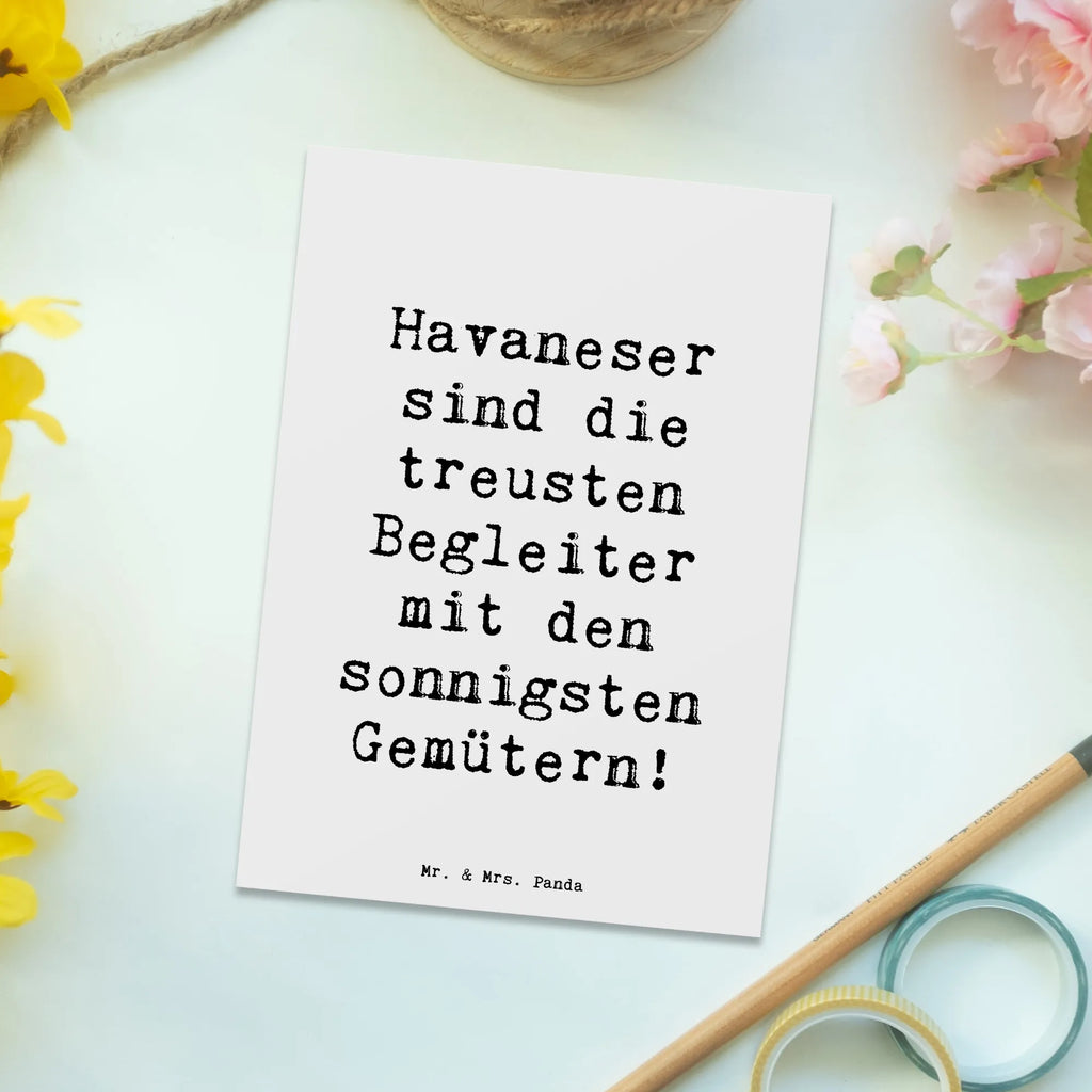 Postcard Saying Havaneser sind die treusten Begleiter mit den sonnigsten Gemütern! Geburtstagskarte, Grußkarte, Einladung, Einladung Geburtstag, Geschenkkarte, Einladungskarte, Karte, Ansichtskarten, Einladungskarten Geburtstag, Postkarte, Ansichtskarte, Dankeskarte, Hund, Hunderasse, Rassehund, Hundebesitzer, Geschenk, Tierfreund, Schenken, Welpe