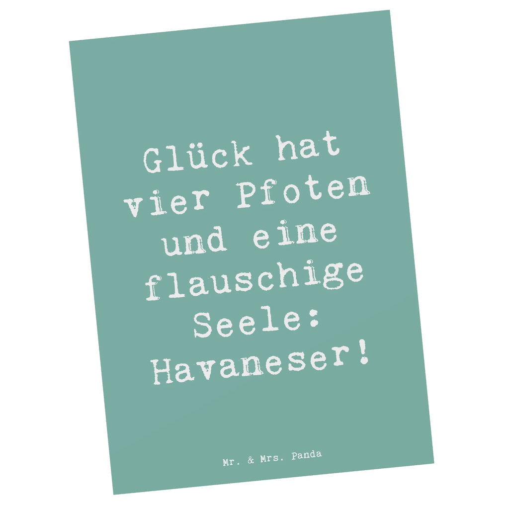 Postcard Saying Glück hat vier Pfoten und eine flauschige Seele: Havaneser! Dankeskarte, Karte, Einladung, Einladung Geburtstag, Ansichtskarte, Postkarte, Ansichtskarten, Geburtstagskarte, Einladungskarte, Grußkarte, Einladungskarten Geburtstag, Geschenkkarte, Hund, Hunderasse, Rassehund, Hundebesitzer, Geschenk, Tierfreund, Schenken, Welpe