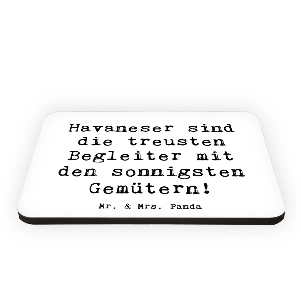 Magnet Saying Havaneser sind die treusten Begleiter mit den sonnigsten Gemütern! Pinnwandmagnet, Kühlschrank Dekoration, Souvenir Magnet, Motivmagnete, Notiz Magnet, Whiteboard Magnet, Kühlschrankmagnet, Dekomagnet, Hund, Hunderasse, Rassehund, Hundebesitzer, Geschenk, Tierfreund, Schenken, Welpe