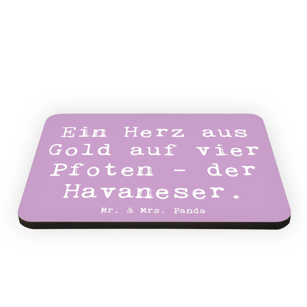 Magnet Spruch Goldherz Havaneser Kühlschrank Dekoration, Souvenir Magnet, Dekomagnet, Notiz Magnet, Pinnwandmagnet, Kühlschrankmagnet, Whiteboard Magnet, Motivmagnete, Hund, Hunderasse, Rassehund, Hundebesitzer, Geschenk, Tierfreund, Schenken, Welpe