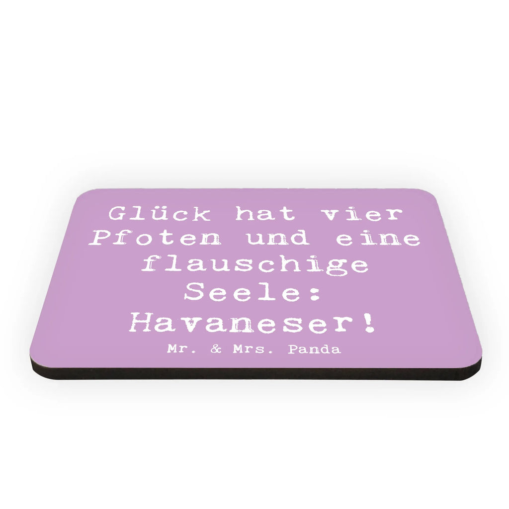 Magnet Spruch Havaneser Glück Souvenir Magnet, Kühlschrank Dekoration, Pinnwandmagnet, Dekomagnet, Motivmagnete, Kühlschrankmagnet, Whiteboard Magnet, Notiz Magnet, Hund, Hunderasse, Rassehund, Hundebesitzer, Geschenk, Tierfreund, Schenken, Welpe