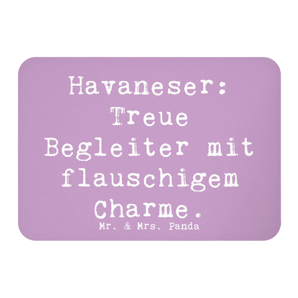 Magnet Spruch Havaneser Charme Kühlschrank Dekoration, Whiteboard Magnet, Notiz Magnet, Dekomagnet, Pinnwandmagnet, Motivmagnete, Souvenir Magnet, Kühlschrankmagnet, Hund, Hunderasse, Rassehund, Hundebesitzer, Geschenk, Tierfreund, Schenken, Welpe