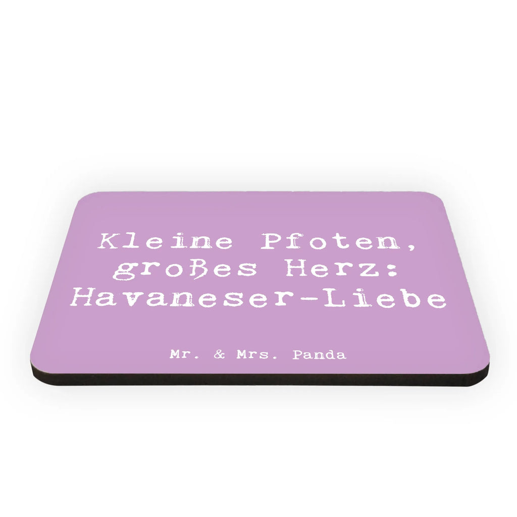 Magnet Spruch Havaneser Liebe Whiteboard Magnet, Kühlschrankmagnet, Notiz Magnet, Motivmagnete, Souvenir Magnet, Pinnwandmagnet, Kühlschrank Dekoration, Dekomagnet, Hund, Hunderasse, Rassehund, Hundebesitzer, Geschenk, Tierfreund, Schenken, Welpe