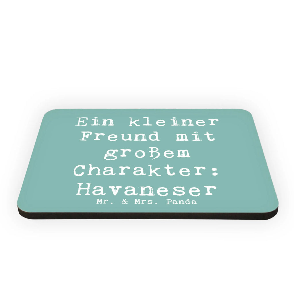 Magnet Saying Ein kleiner Freund mit großem Charakter: Havaneser Notiz Magnet, Motivmagnete, Pinnwandmagnet, Whiteboard Magnet, Souvenir Magnet, Dekomagnet, Kühlschrankmagnet, Kühlschrank Dekoration, Hund, Hunderasse, Rassehund, Hundebesitzer, Geschenk, Tierfreund, Schenken, Welpe