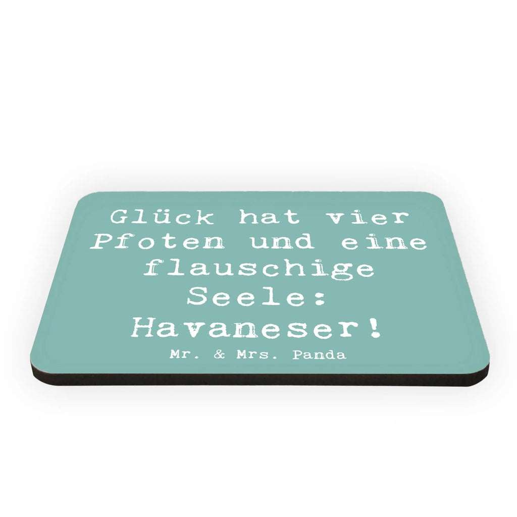 Magnet Spruch Havaneser Glück Souvenir Magnet, Kühlschrank Dekoration, Pinnwandmagnet, Dekomagnet, Motivmagnete, Kühlschrankmagnet, Whiteboard Magnet, Notiz Magnet, Hund, Hunderasse, Rassehund, Hundebesitzer, Geschenk, Tierfreund, Schenken, Welpe