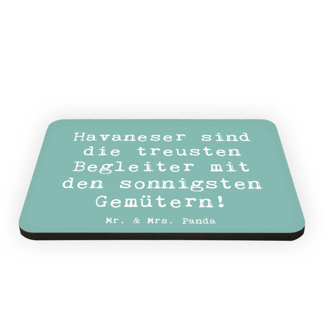 Magnet Saying Havaneser sind die treusten Begleiter mit den sonnigsten Gemütern! Pinnwandmagnet, Kühlschrank Dekoration, Souvenir Magnet, Motivmagnete, Notiz Magnet, Whiteboard Magnet, Kühlschrankmagnet, Dekomagnet, Hund, Hunderasse, Rassehund, Hundebesitzer, Geschenk, Tierfreund, Schenken, Welpe