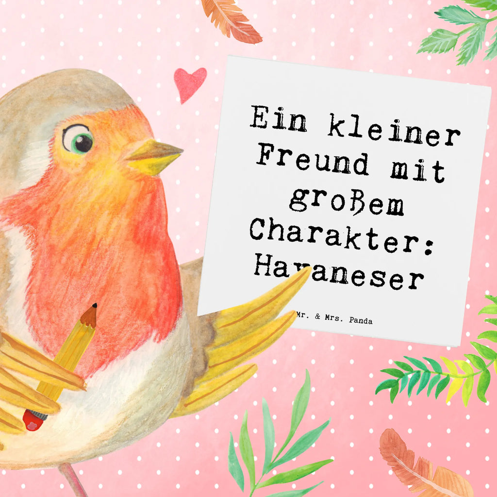Deluxe Card Saying Ein kleiner Freund mit großem Charakter: Havaneser Karte, Einladungskarte, Grußkarte, Hochzeitskarte, Glückwunschkarte, Geburtstagskarte, Hochwertige Grußkarte, Hochwertige Klappkarte, Klappkarte, Hund, Hunderasse, Rassehund, Hundebesitzer, Geschenk, Tierfreund, Schenken, Welpe