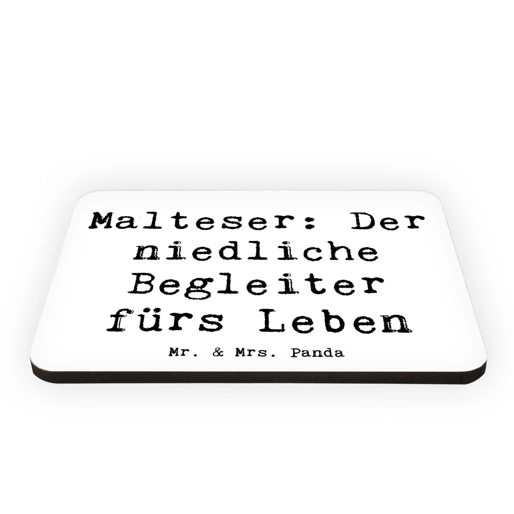 Magnet Spruch Malteser Begleiter Motivmagnete, Pinnwandmagnet, Dekomagnet, Notiz Magnet, Souvenir Magnet, Kühlschrankmagnet, Kühlschrank Dekoration, Whiteboard Magnet, Hund, Hunderasse, Rassehund, Hundebesitzer, Geschenk, Tierfreund, Schenken, Welpe