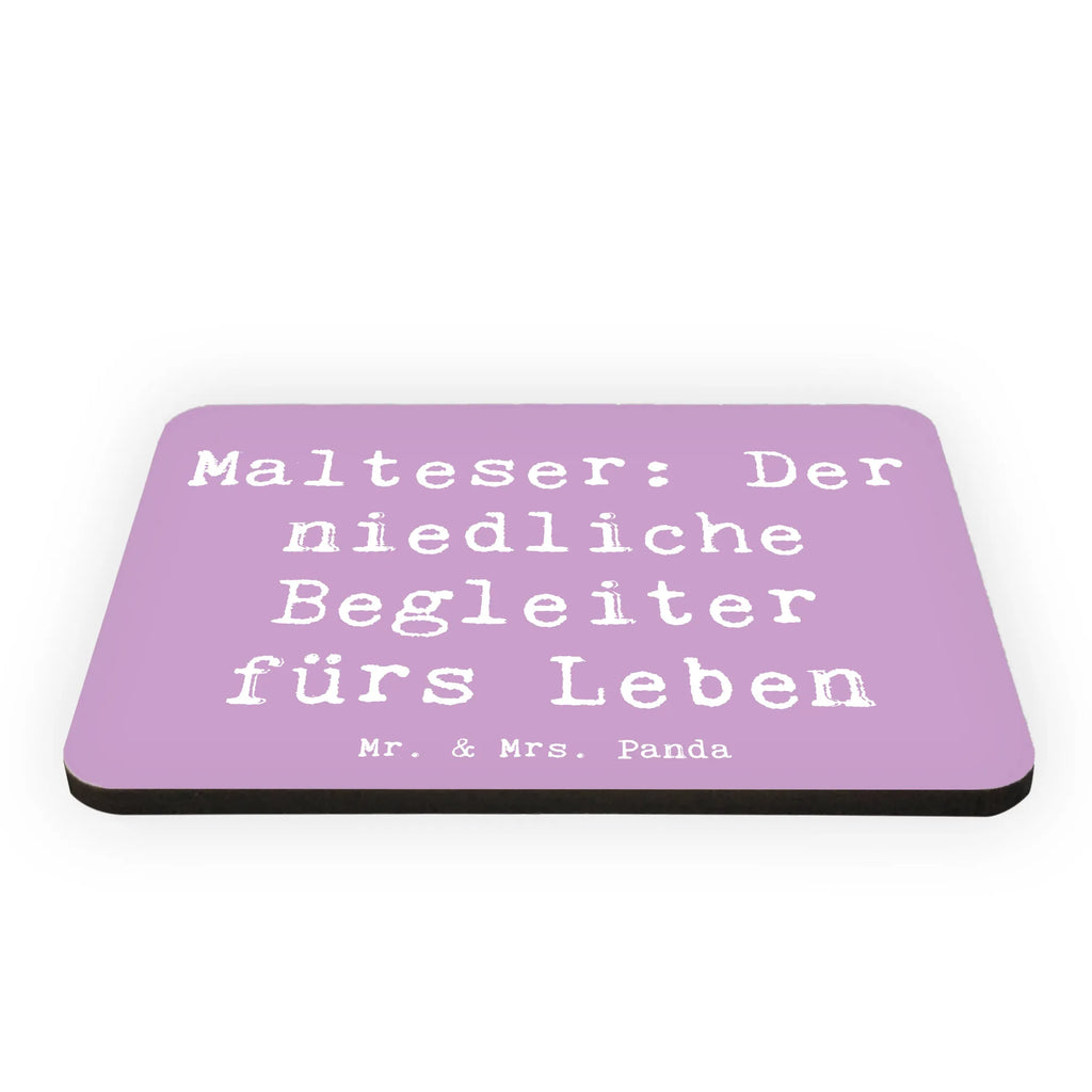 Magnet Spruch Malteser Begleiter Motivmagnete, Pinnwandmagnet, Dekomagnet, Notiz Magnet, Souvenir Magnet, Kühlschrankmagnet, Kühlschrank Dekoration, Whiteboard Magnet, Hund, Hunderasse, Rassehund, Hundebesitzer, Geschenk, Tierfreund, Schenken, Welpe