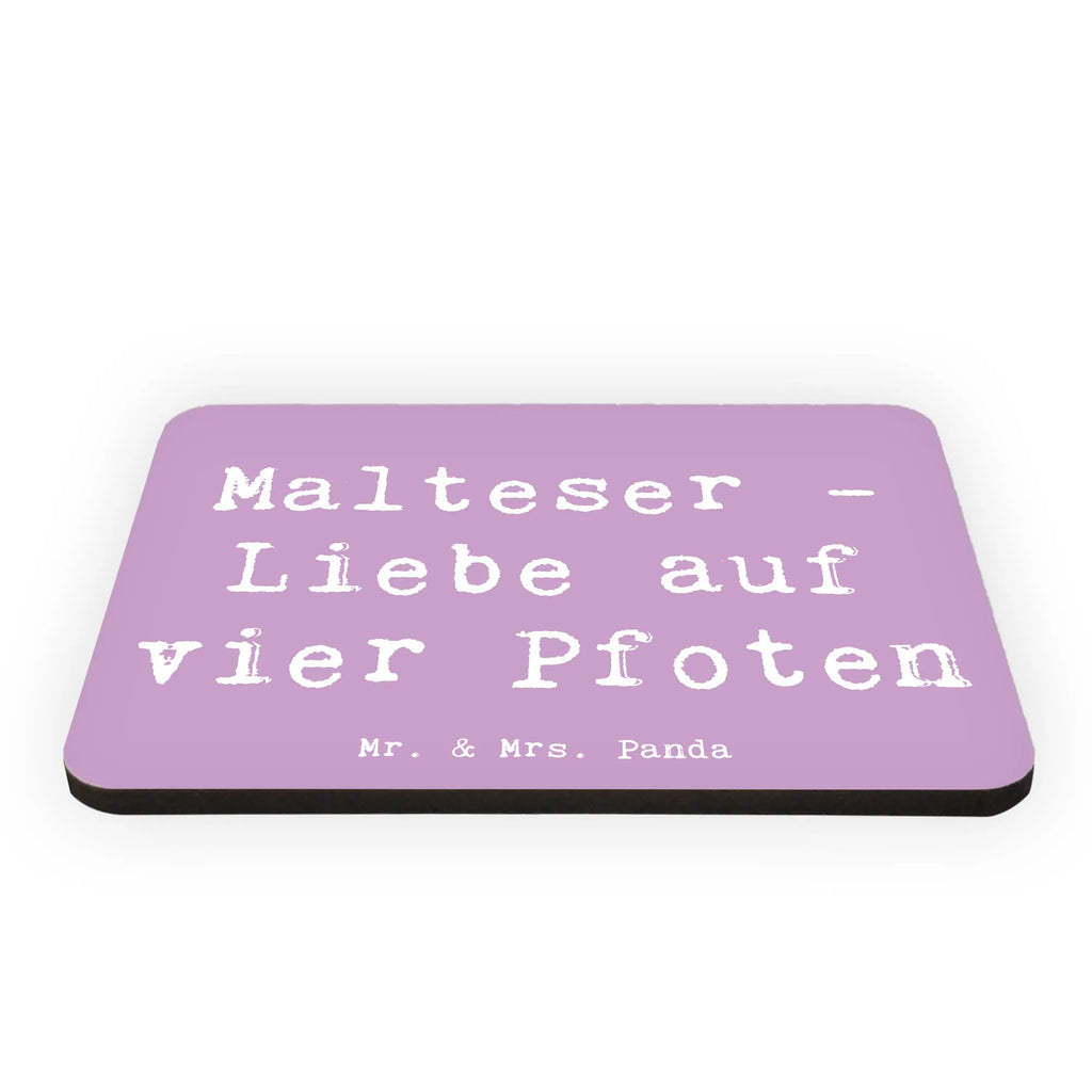 Magnet Spruch Malteser Liebe Whiteboard Magnet, Kühlschrankmagnet, Pinnwandmagnet, Motivmagnete, Dekomagnet, Kühlschrank Dekoration, Souvenir Magnet, Notiz Magnet, Hund, Hunderasse, Rassehund, Hundebesitzer, Geschenk, Tierfreund, Schenken, Welpe