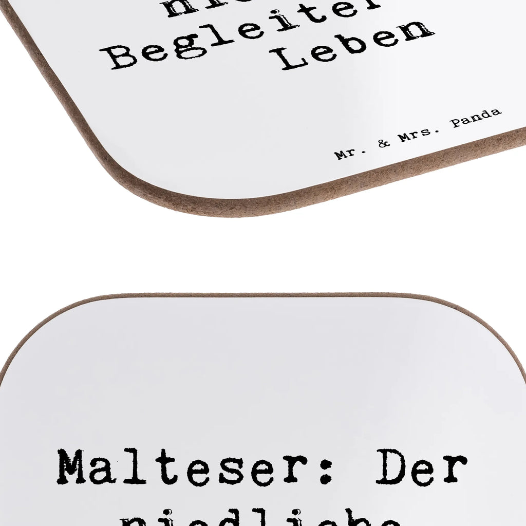Square coaster Saying Malteser: Der niedliche Begleiter fürs Leben Getränkeuntersetzer, Untersetzer Holz, Glasuntersetzer, Untersetzer Gläser, Bierdeckel, Untersetzer, Korkuntersetzer, Untersetzer aus Holz, Tassen Untersetzer, Untersetzer für Gläser, Untersetzer Design, Holzuntersetzer, Hund, Hunderasse, Rassehund, Hundebesitzer, Geschenk, Tierfreund, Schenken, Welpe