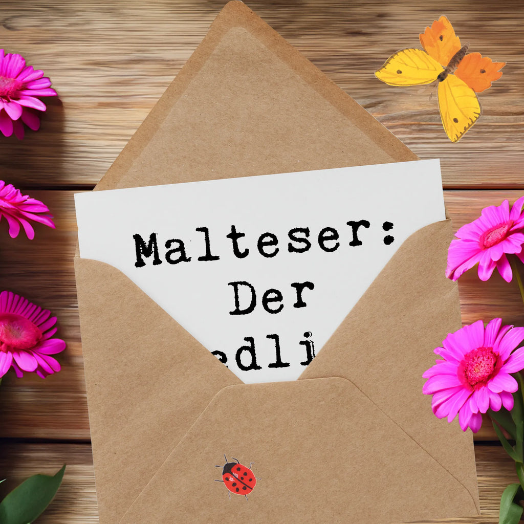 Deluxe Card Saying Malteser: Der niedliche Begleiter fürs Leben Karte, Hochzeitskarte, Grußkarte, Glückwunschkarte, Hochwertige Grußkarte, Einladungskarte, Geburtstagskarte, Hochwertige Klappkarte, Klappkarte, Hund, Hunderasse, Rassehund, Hundebesitzer, Geschenk, Tierfreund, Schenken, Welpe