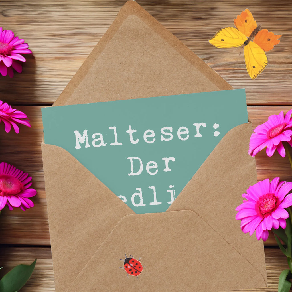 Deluxe Card Saying Malteser: Der niedliche Begleiter fürs Leben Karte, Hochzeitskarte, Grußkarte, Glückwunschkarte, Hochwertige Grußkarte, Einladungskarte, Geburtstagskarte, Hochwertige Klappkarte, Klappkarte, Hund, Hunderasse, Rassehund, Hundebesitzer, Geschenk, Tierfreund, Schenken, Welpe