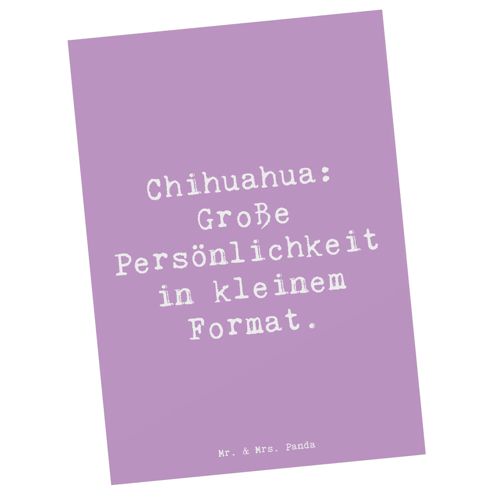 Postkarte Spruch Chihuahua Persönlichkeit Postkarte, Einladungskarten Geburtstag, Ansichtskarten, Karte, Einladungskarte, Ansichtskarte, Grußkarte, Dankeskarte, Einladung, Geschenkkarte, Geburtstagskarte, Einladung Geburtstag, Hund, Hunderasse, Rassehund, Hundebesitzer, Geschenk, Tierfreund, Schenken, Welpe