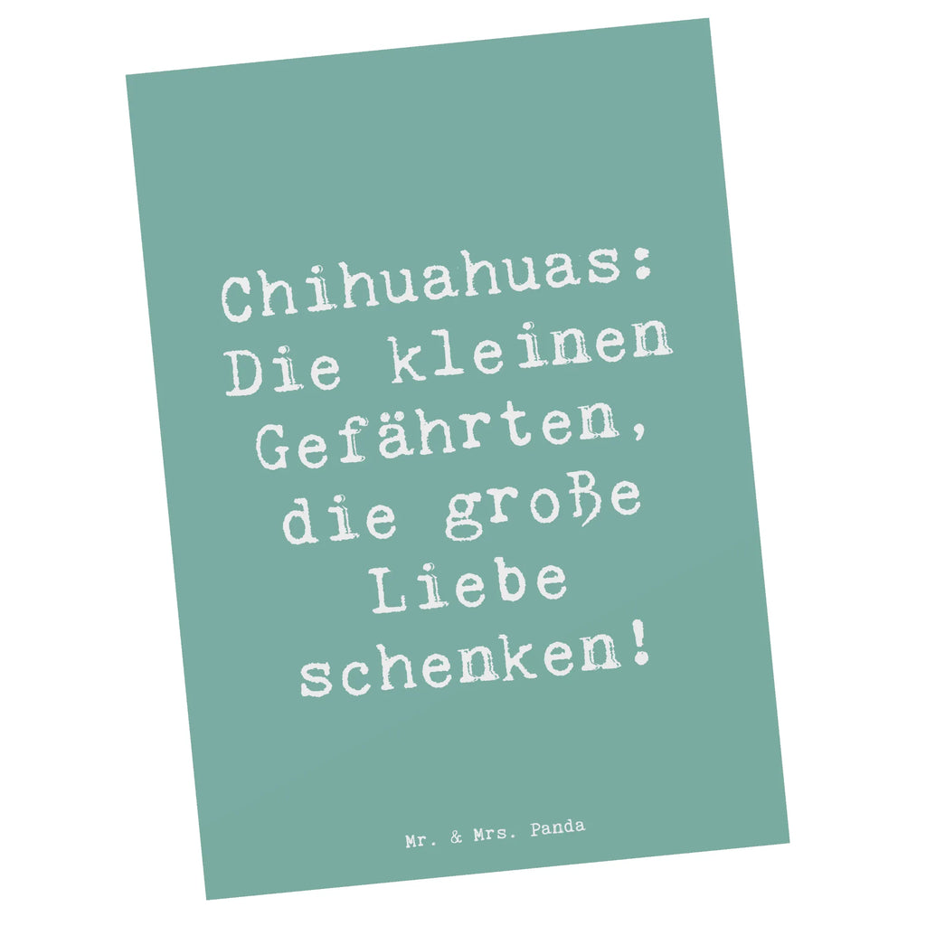 Postcard Saying Chihuahuas: Die kleinen Gefährten, die große Liebe schenken! Geschenkkarte, Karte, Grußkarte, Dankeskarte, Einladungskarten Geburtstag, Einladungskarte, Ansichtskarte, Einladung, Ansichtskarten, Geburtstagskarte, Postkarte, Einladung Geburtstag, Hund, Hunderasse, Rassehund, Hundebesitzer, Geschenk, Tierfreund, Schenken, Welpe