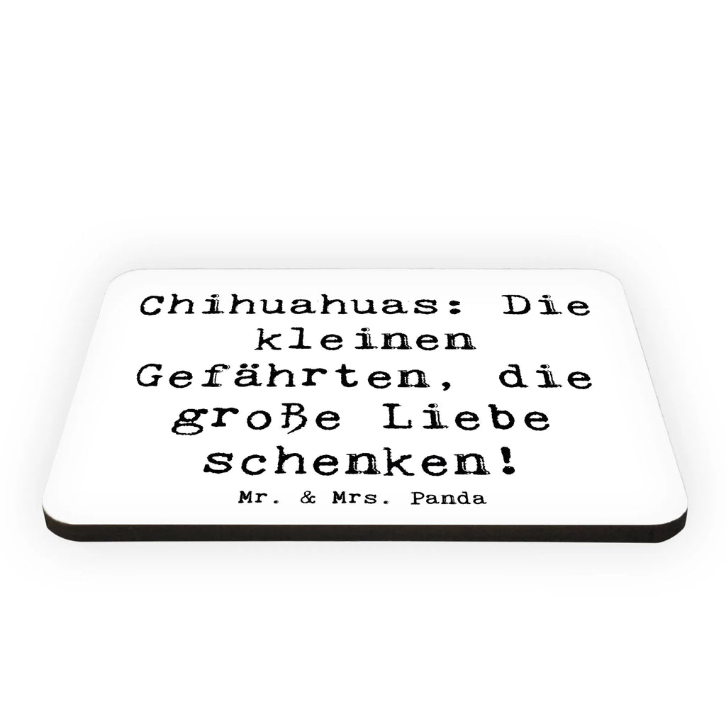 Magnet Spruch Chihuahua Liebe Kühlschrankmagnet, Notiz Magnet, Pinnwandmagnet, Kühlschrank Dekoration, Dekomagnet, Souvenir Magnet, Whiteboard Magnet, Motivmagnete, Hund, Hunderasse, Rassehund, Hundebesitzer, Geschenk, Tierfreund, Schenken, Welpe