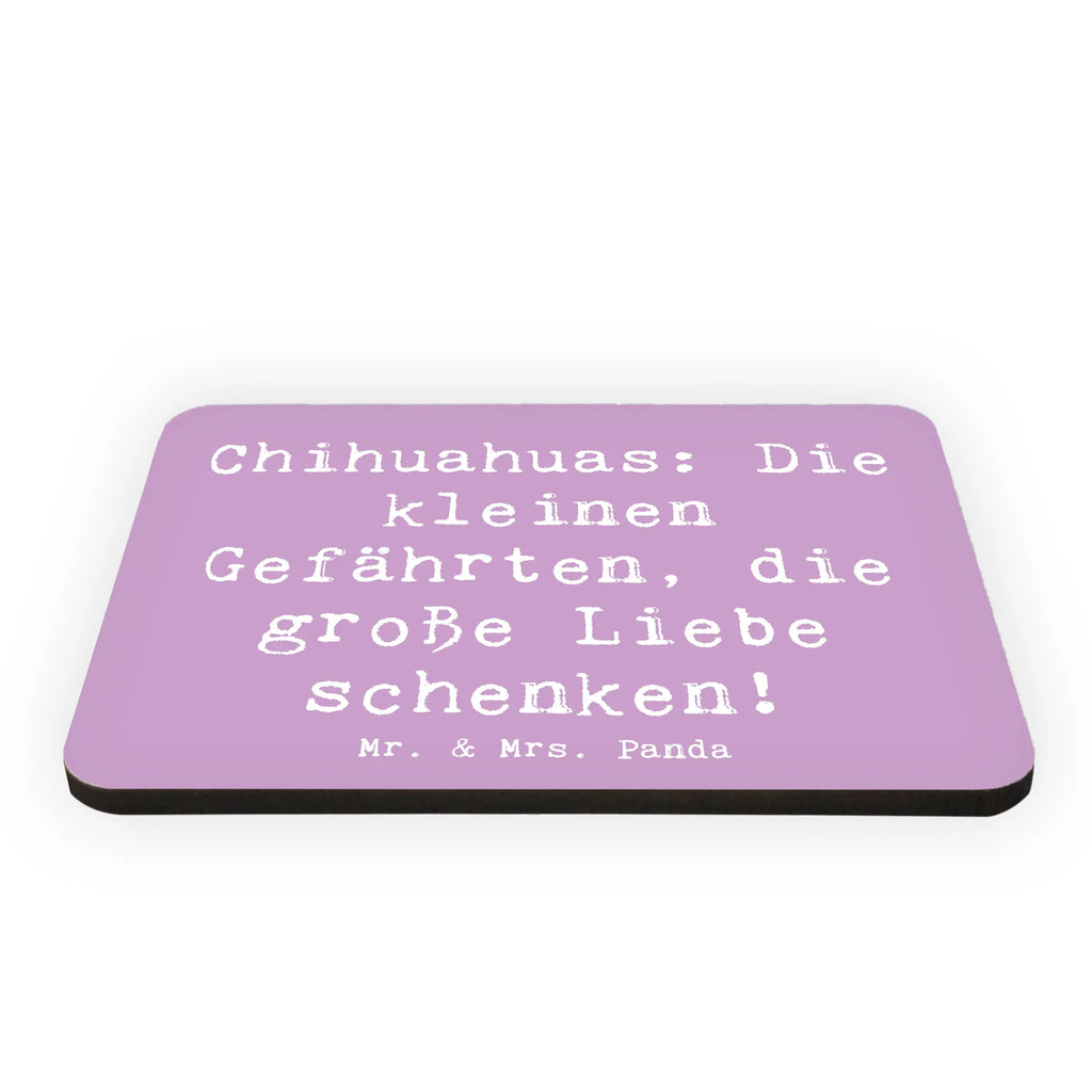 Magnet Spruch Chihuahua Liebe Kühlschrankmagnet, Notiz Magnet, Pinnwandmagnet, Kühlschrank Dekoration, Dekomagnet, Souvenir Magnet, Whiteboard Magnet, Motivmagnete, Hund, Hunderasse, Rassehund, Hundebesitzer, Geschenk, Tierfreund, Schenken, Welpe