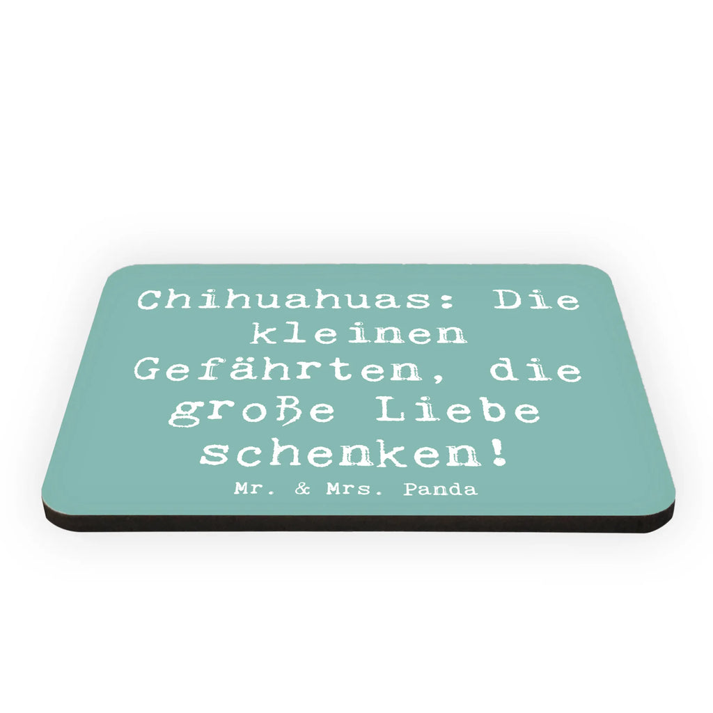 Magnet Spruch Chihuahua Liebe Kühlschrankmagnet, Notiz Magnet, Pinnwandmagnet, Kühlschrank Dekoration, Dekomagnet, Souvenir Magnet, Whiteboard Magnet, Motivmagnete, Hund, Hunderasse, Rassehund, Hundebesitzer, Geschenk, Tierfreund, Schenken, Welpe