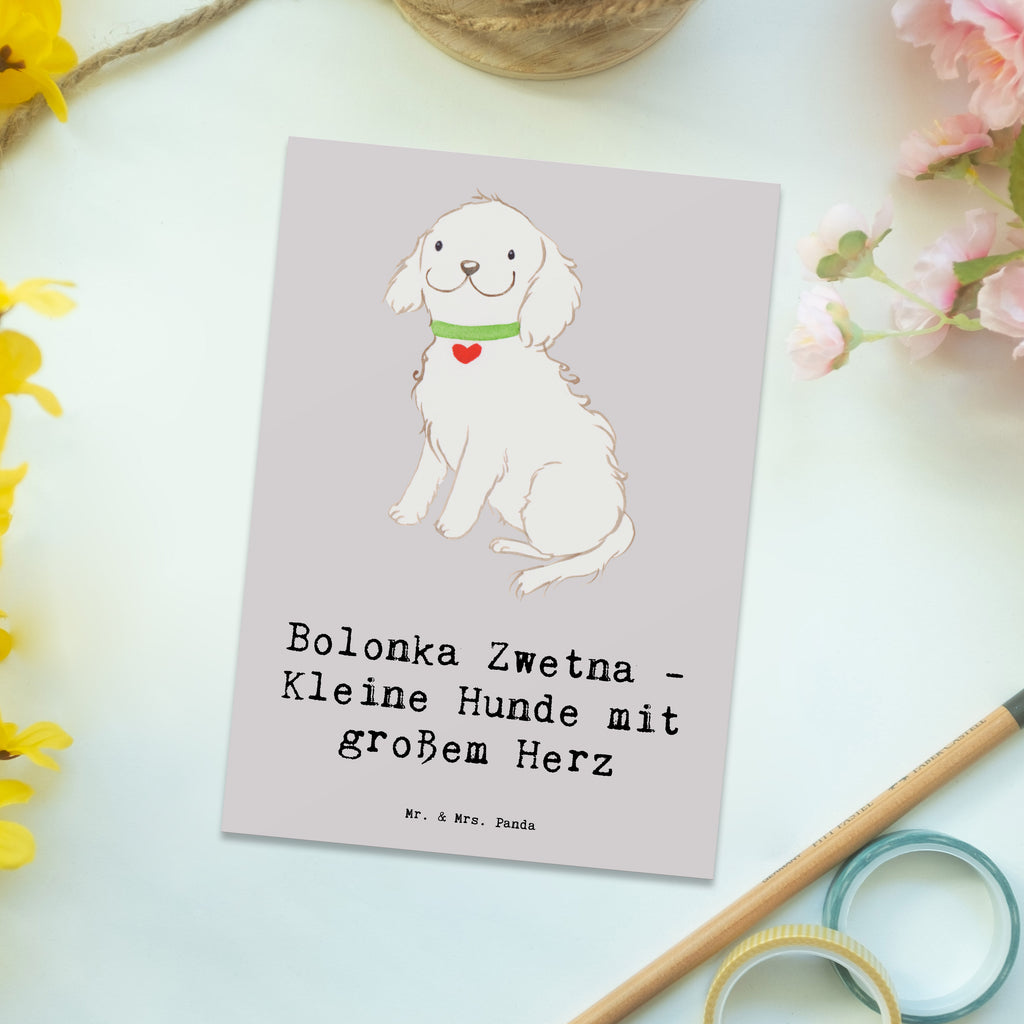 Postcard Bolonka Zwetna - Kleine Hunde mit großem Herz Karte, Einladungskarte, Grußkarte, Einladung Geburtstag, Einladung, Geschenkkarte, Dankeskarte, Geburtstagskarte, Ansichtskarten, Ansichtskarte, Postkarte, Einladungskarten Geburtstag, Hund, Hunderasse, Rassehund, Hundebesitzer, Geschenk, Tierfreund, Schenken, Welpe