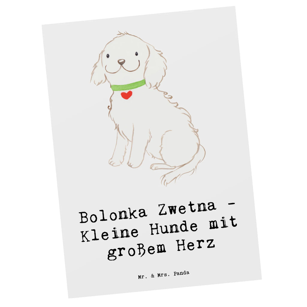 Postcard Bolonka Zwetna - Kleine Hunde mit großem Herz Karte, Einladungskarte, Grußkarte, Einladung Geburtstag, Einladung, Geschenkkarte, Dankeskarte, Geburtstagskarte, Ansichtskarten, Ansichtskarte, Postkarte, Einladungskarten Geburtstag, Hund, Hunderasse, Rassehund, Hundebesitzer, Geschenk, Tierfreund, Schenken, Welpe