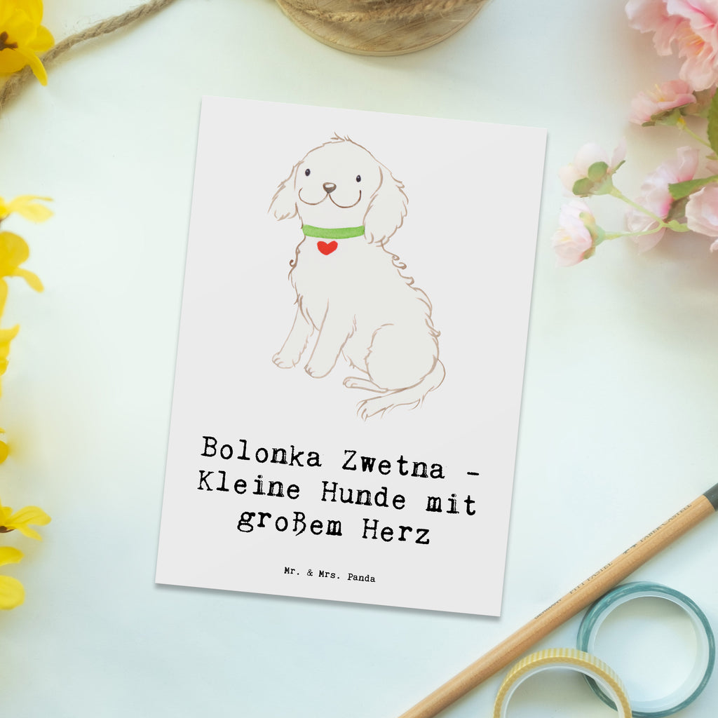 Postcard Bolonka Zwetna - Kleine Hunde mit großem Herz Karte, Einladungskarte, Grußkarte, Einladung Geburtstag, Einladung, Geschenkkarte, Dankeskarte, Geburtstagskarte, Ansichtskarten, Ansichtskarte, Postkarte, Einladungskarten Geburtstag, Hund, Hunderasse, Rassehund, Hundebesitzer, Geschenk, Tierfreund, Schenken, Welpe