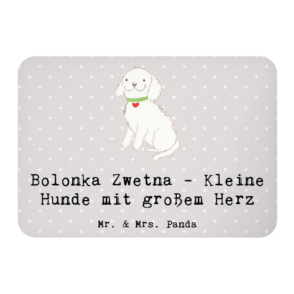 Magnet Bolonka Zwetna - Kleine Hunde mit großem Herz Notiz Magnet, Souvenir Magnet, Motivmagnete, Whiteboard Magnet, Kühlschrankmagnet, Pinnwandmagnet, Kühlschrank Dekoration, Dekomagnet, Hund, Hunderasse, Rassehund, Hundebesitzer, Geschenk, Tierfreund, Schenken, Welpe