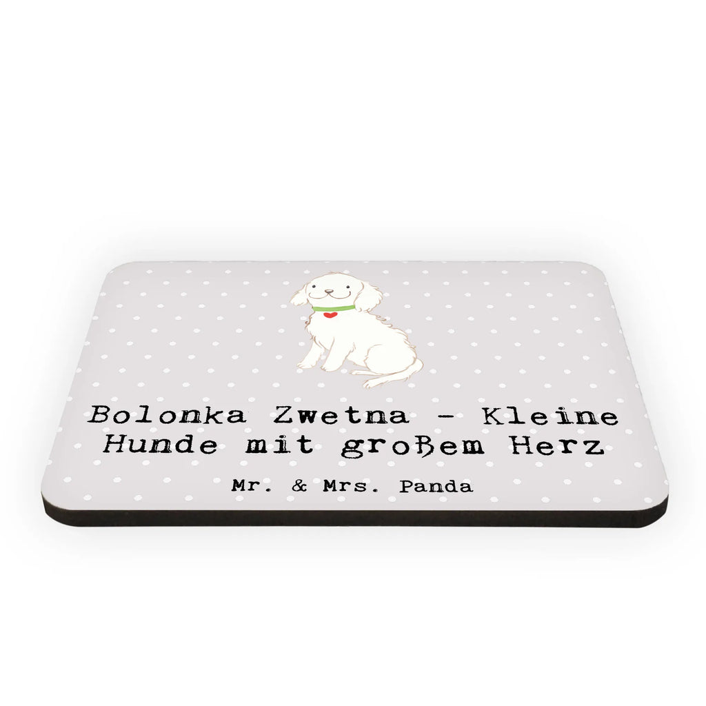 Magnet Bolonka Zwetna - Kleine Hunde mit großem Herz Notiz Magnet, Souvenir Magnet, Motivmagnete, Whiteboard Magnet, Kühlschrankmagnet, Pinnwandmagnet, Kühlschrank Dekoration, Dekomagnet, Hund, Hunderasse, Rassehund, Hundebesitzer, Geschenk, Tierfreund, Schenken, Welpe