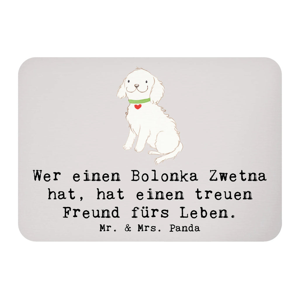 Magnet Bolonka Zwetna Kühlschrank Dekoration, Souvenir Magnet, Dekomagnet, Motivmagnete, Pinnwandmagnet, Whiteboard Magnet, Notiz Magnet, Kühlschrankmagnet, Hund, Hunderasse, Rassehund, Hundebesitzer, Geschenk, Tierfreund, Schenken, Welpe